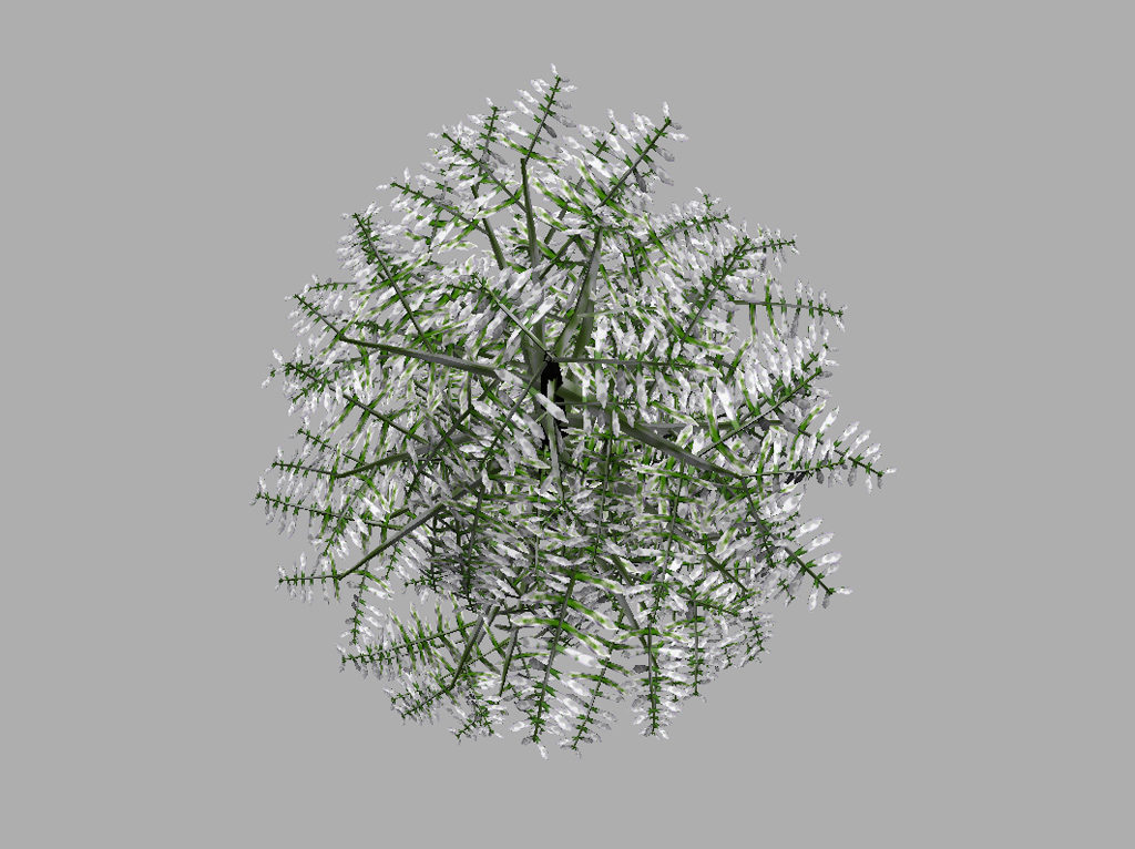 conifer-tree-snow-3d-model-10