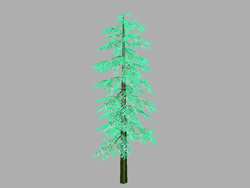 conifer-tree-snow-3d-model-11