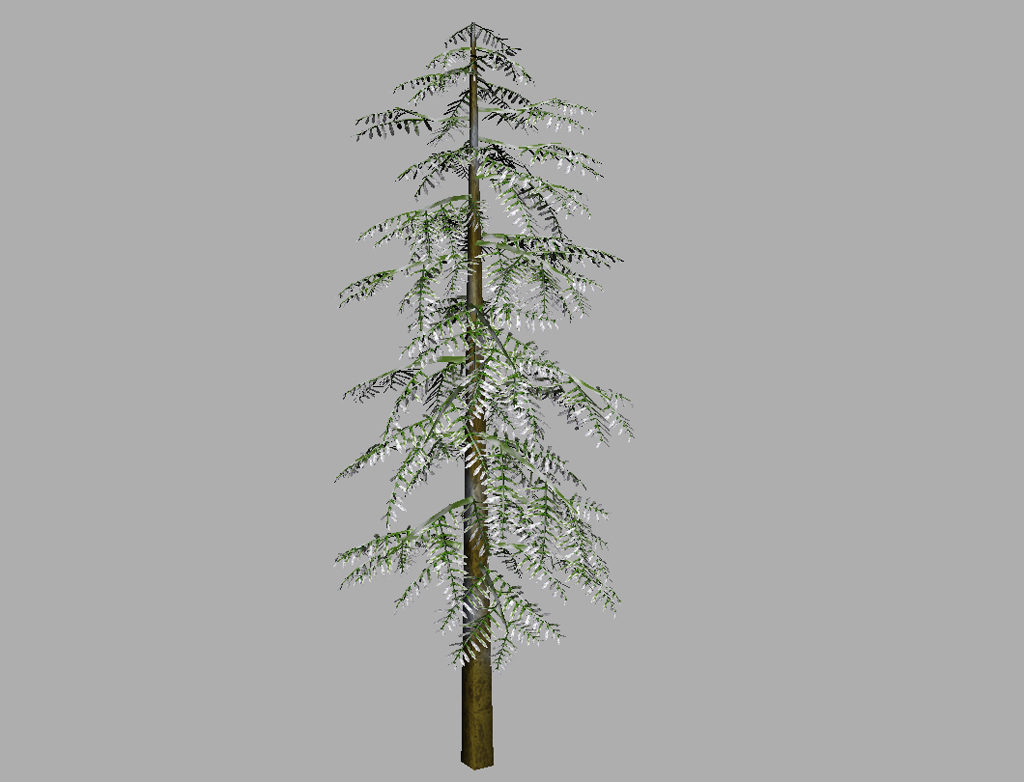 conifer-tree-snow-3d-model-12