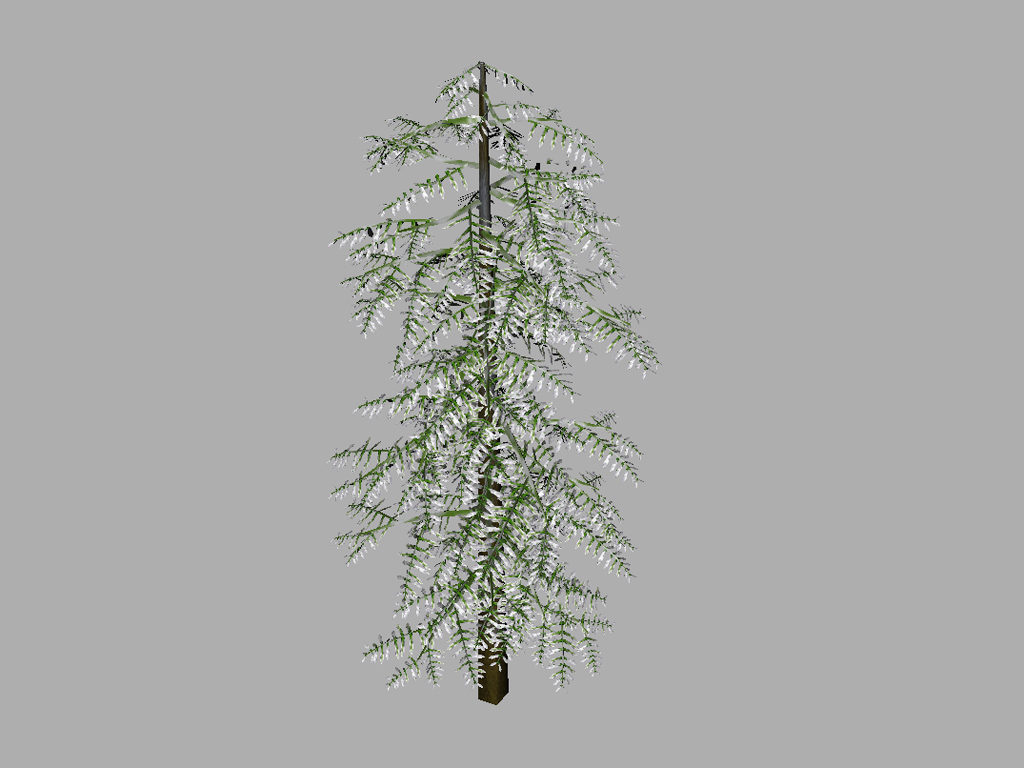 conifer-tree-snow-3d-model-13