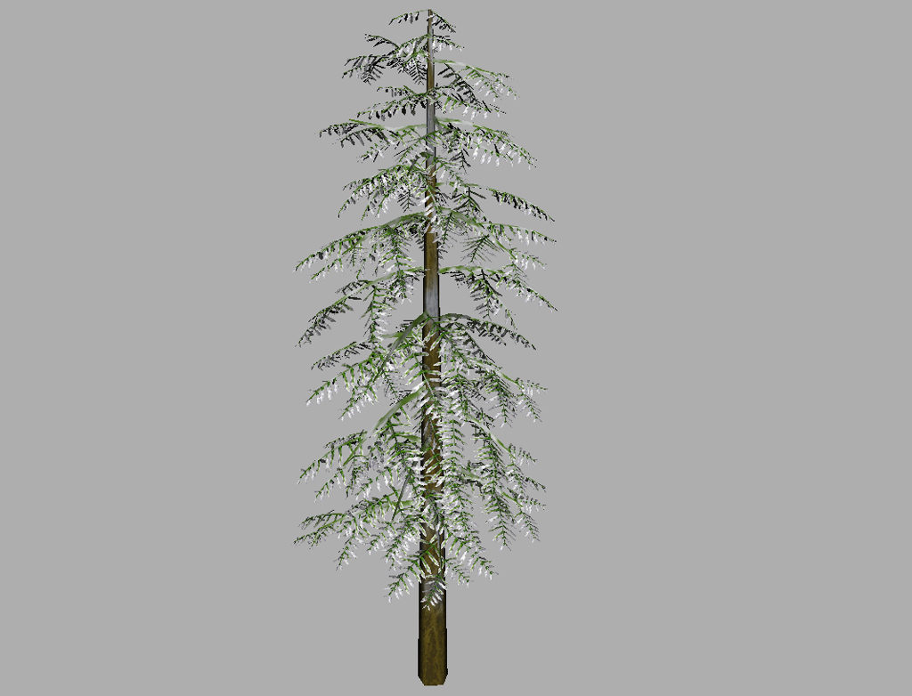conifer-tree-snow-3d-model-7