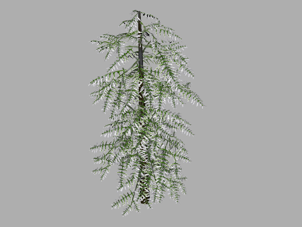 conifer-tree-snow-3d-model-8