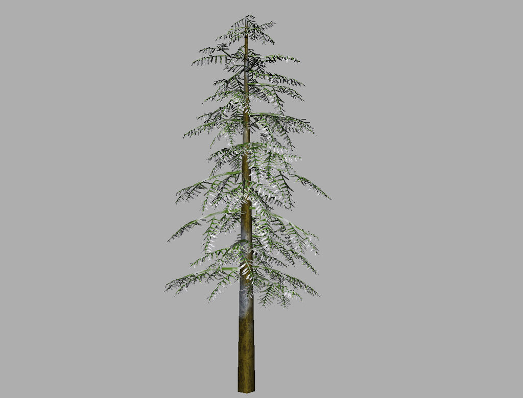 conifer-tree-snow-3d-model-9