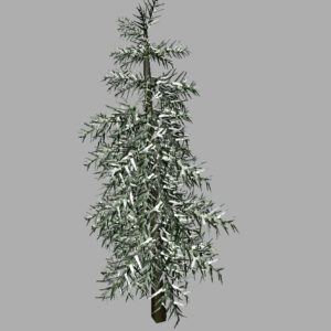 conifer-tree-winter-3d-model-11