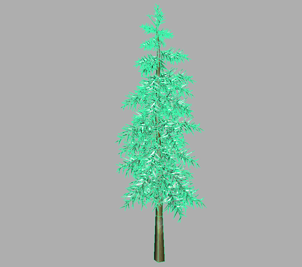 conifer-tree-winter-3d-model-12