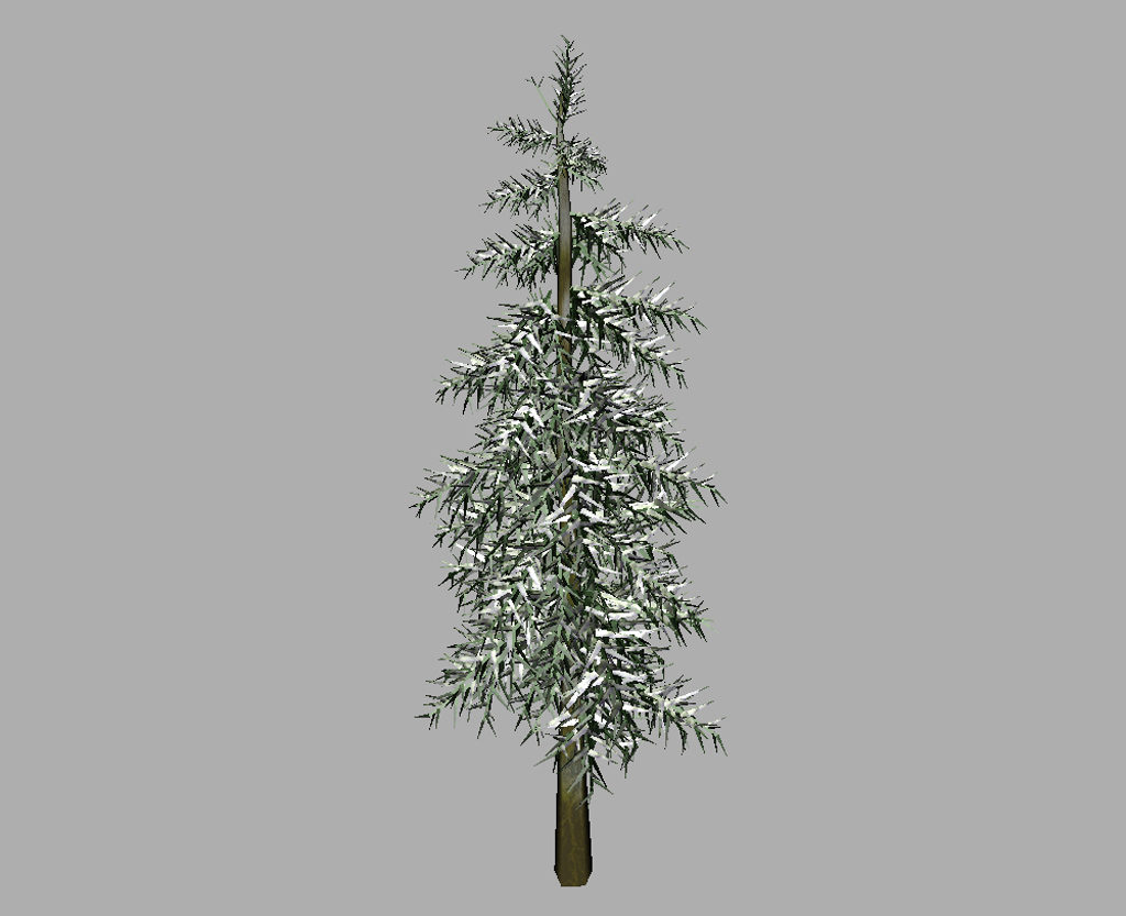 conifer-tree-winter-3d-model-13