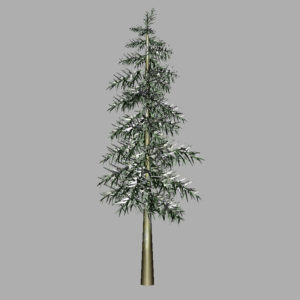 conifer-tree-winter-3d-model-7