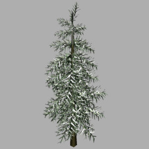conifer-tree-winter-3d-model-8