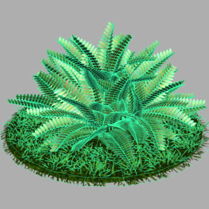 fern-bush-3d-model-shrubs-10