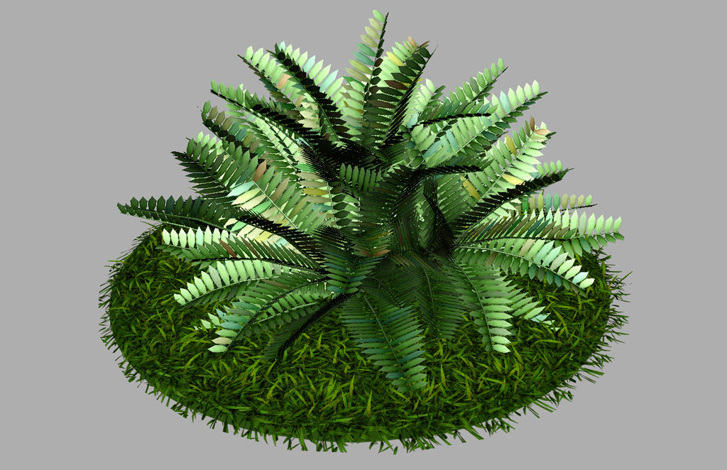 fern-bush-3d-model-shrubs-6