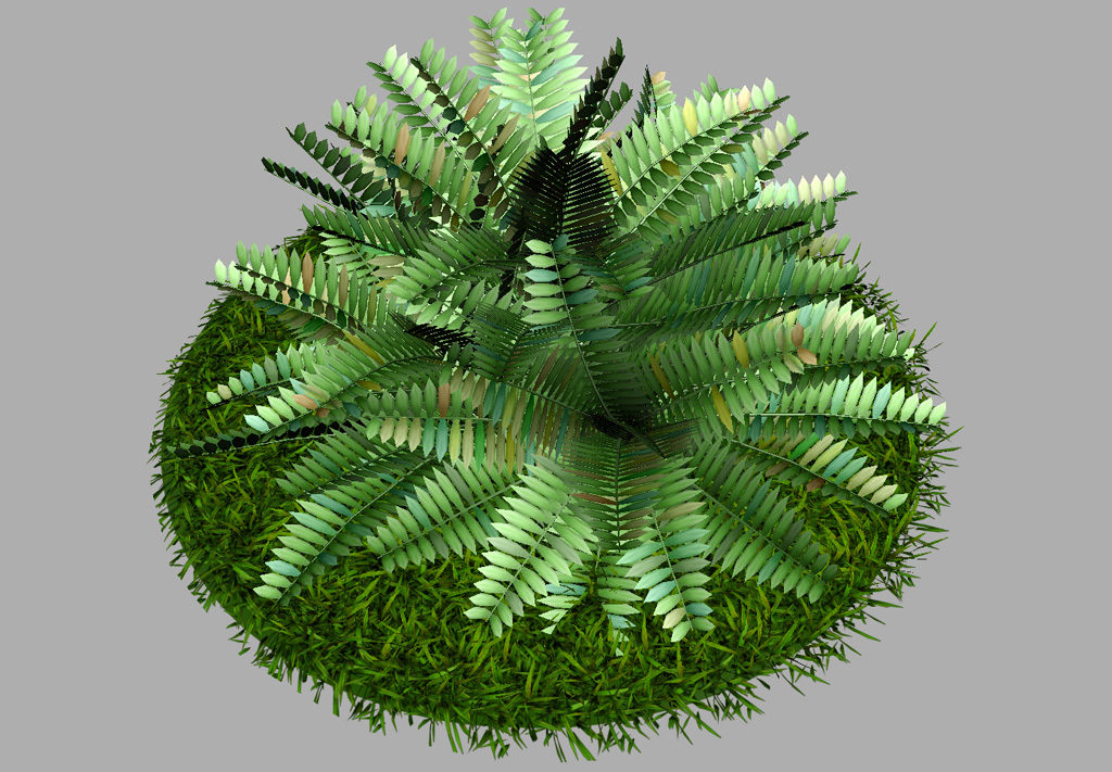 fern-bush-3d-model-shrubs-7