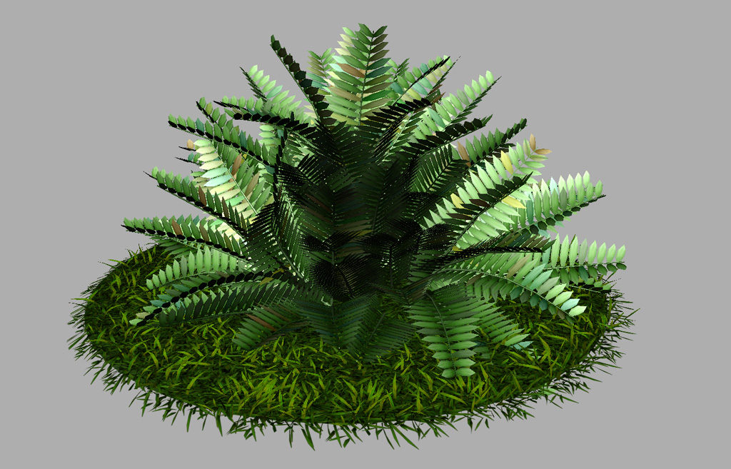 fern-bush-3d-model-shrubs-8