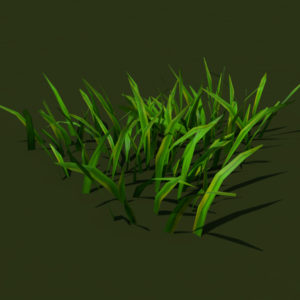 grass-patch-3d-model-1