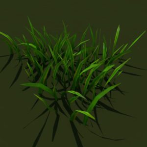 grass-patch-3d-model-4