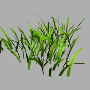 grass-patch-3d-model-6