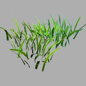 grass-patch-3d-model-7
