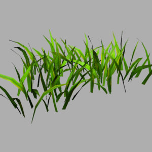 grass-patch-3d-model-9