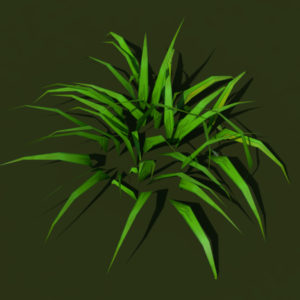 grass-plant-3d-model-2