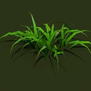 grass-plant-3d-model-3