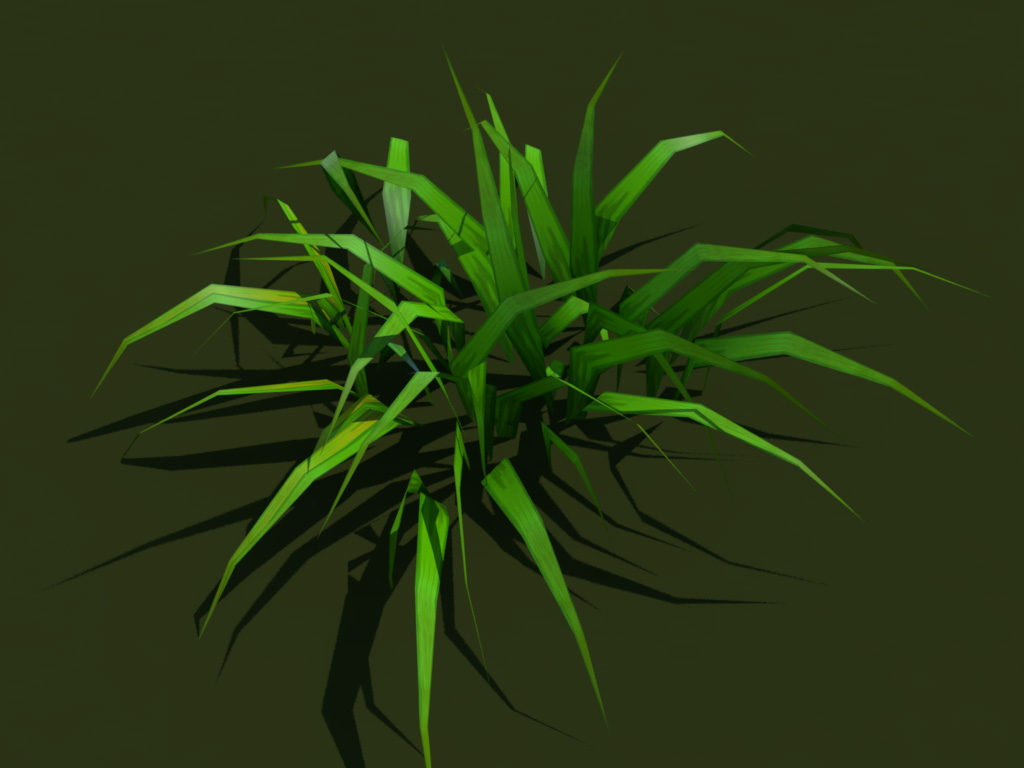 grass-plant-3d-model-4