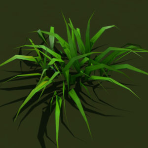 grass-plant-3d-model-4