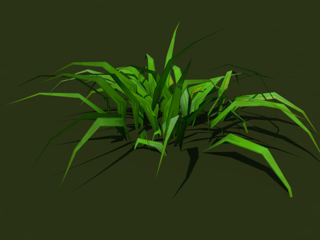 grass-plant-3d-model-5