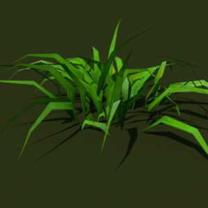 grass-plant-3d-model-5