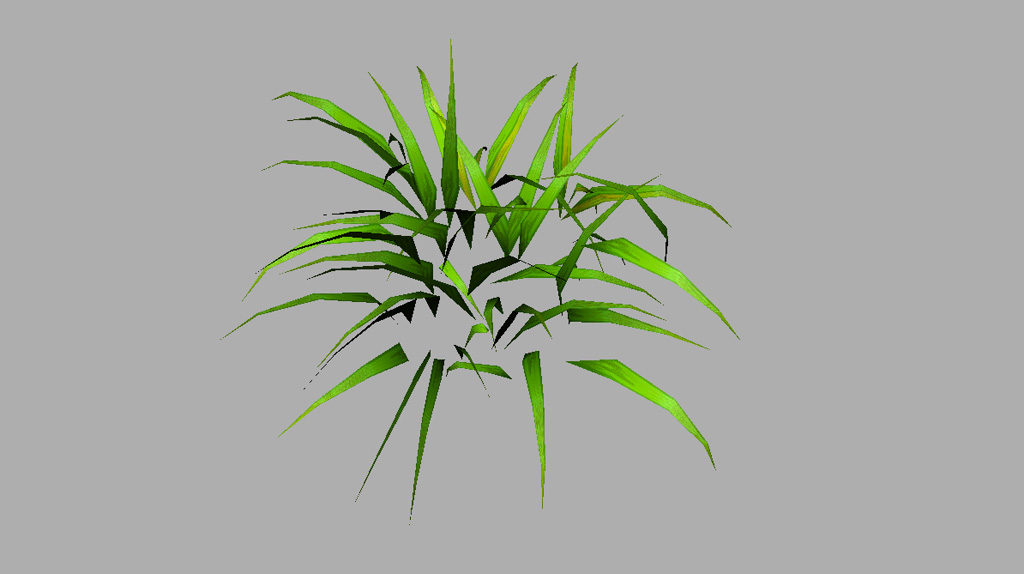grass-plant-3d-model-6