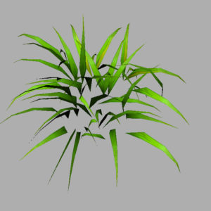 grass-plant-3d-model-6