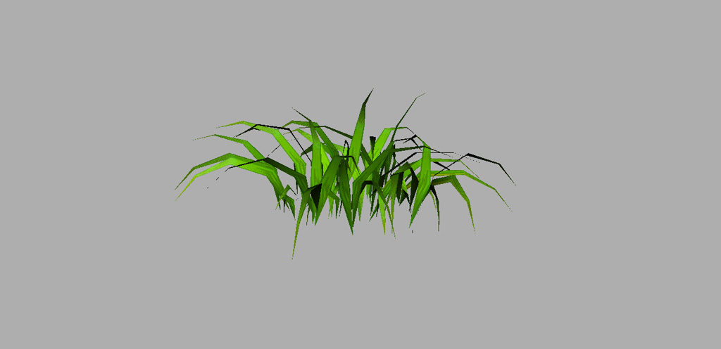 grass-plant-3d-model-7