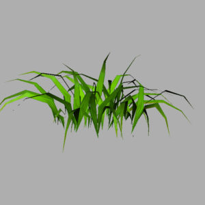 grass-plant-3d-model-7