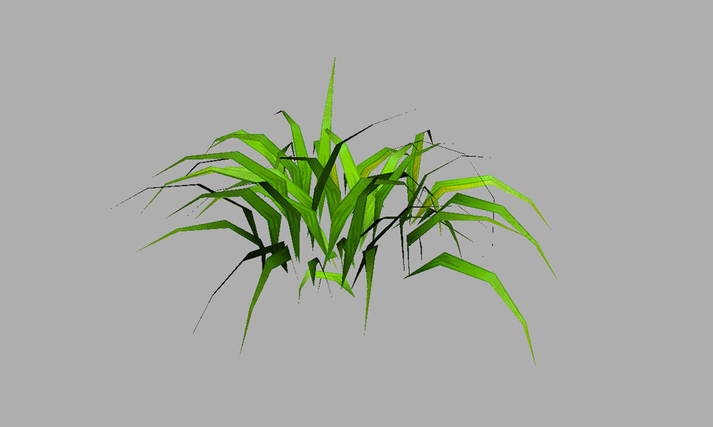 grass-plant-3d-model-8