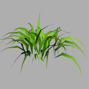 grass-plant-3d-model-8