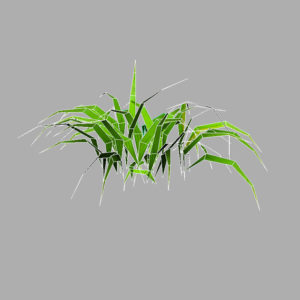 grass-plant-3d-model-9