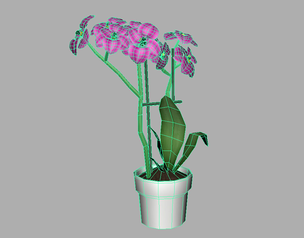 orchid-pot-3d-model-pink-10