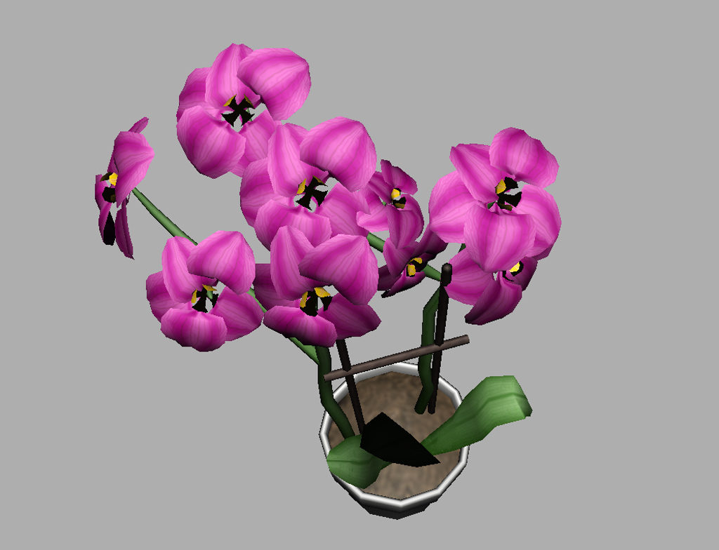 orchid-pot-3d-model-pink-11
