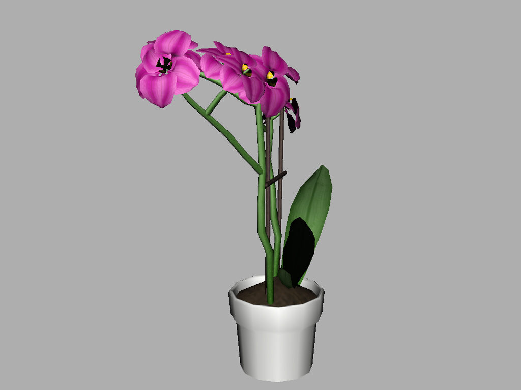 orchid-pot-3d-model-pink-12