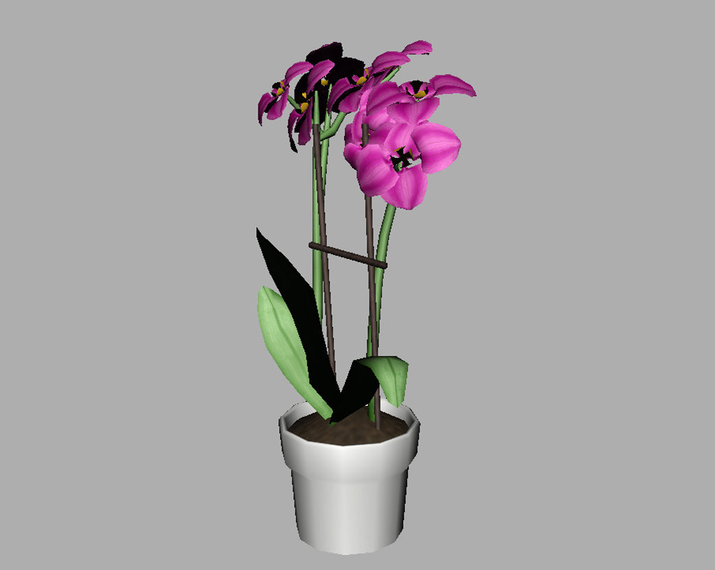 orchid-pot-3d-model-pink-13