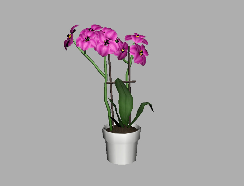 orchid-pot-3d-model-pink-8