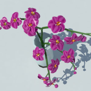 orchid-vase-3d-model-purple-5