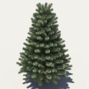 pine-tree-3d-model-2