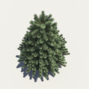 pine-tree-3d-model-4