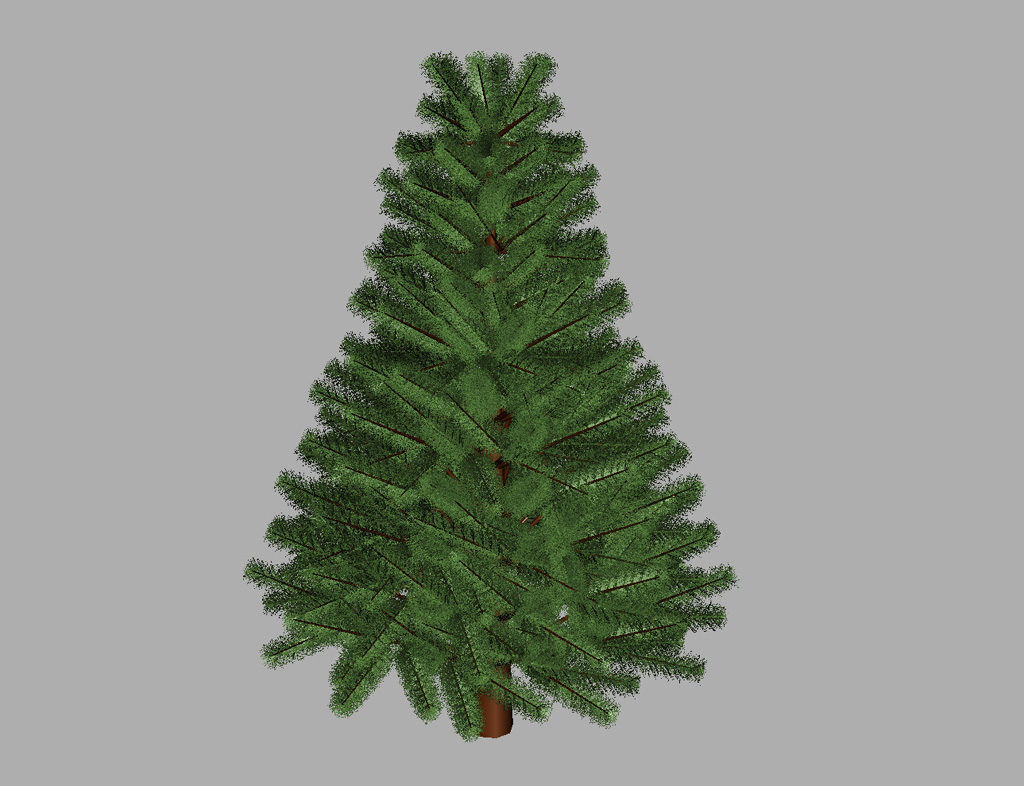 pine-tree-3d-model-5