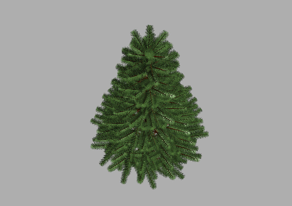 pine-tree-3d-model-6