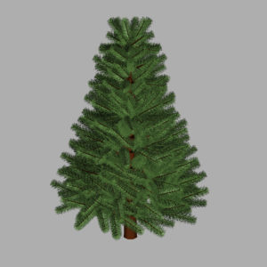 pine-tree-3d-model-7