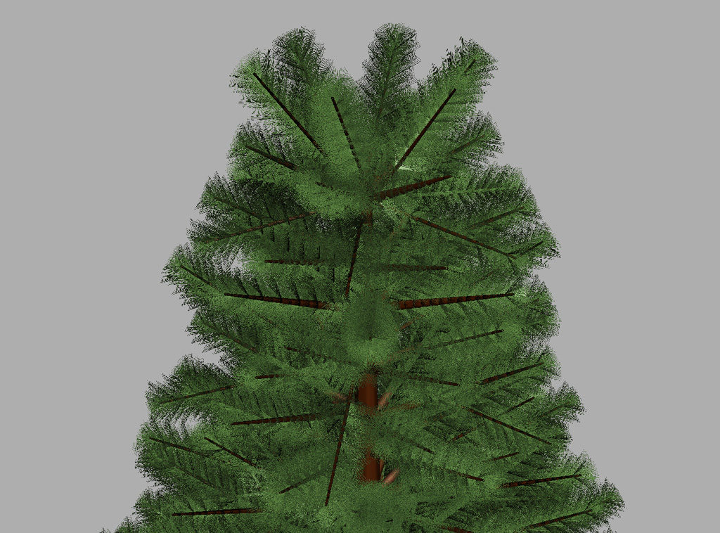 pine-tree-3d-model-9