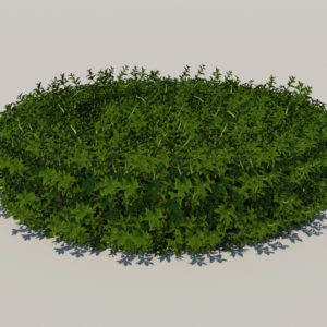round-hedge-plants-3d-model-4