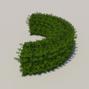 round-hedge-plants-3d-model-6
