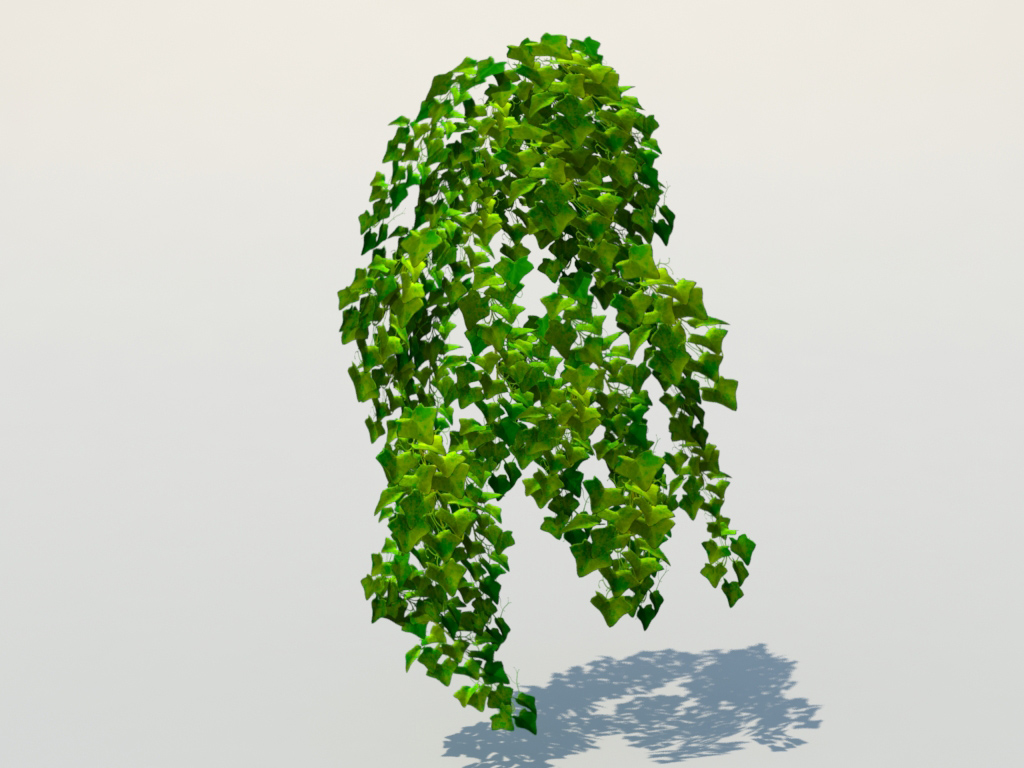 ivy-plant-3d-model-1
