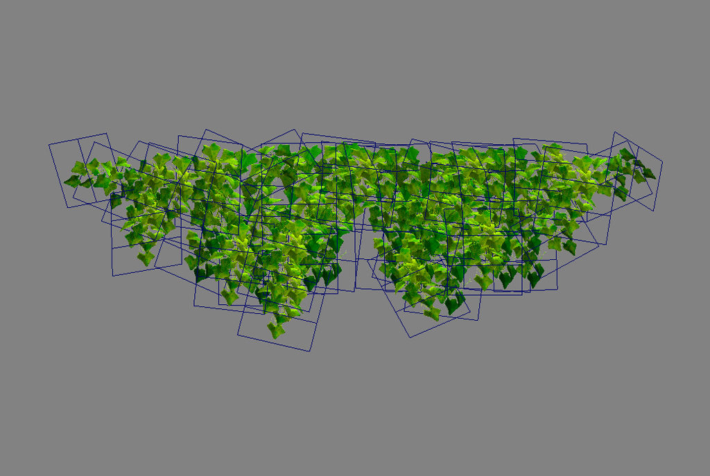 ivy-plant-3d-model-10